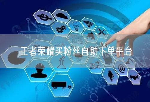 王者荣耀买粉丝自助下单平台