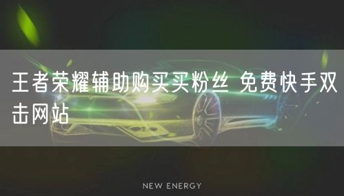 王者荣耀辅助购买买粉丝 免费快手双击网站