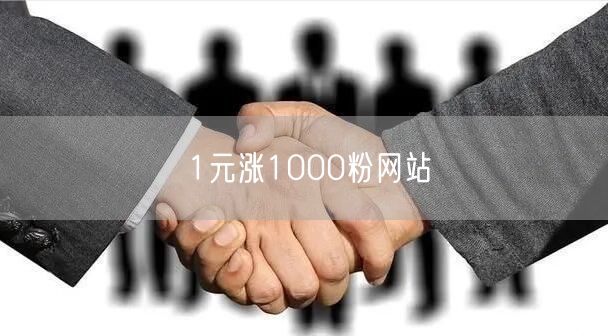 1元涨1000粉网站