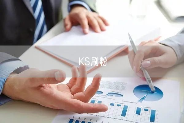 KS刷粉