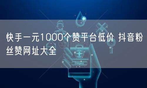 快手一元1000个赞平台低价 抖音粉丝赞网址大全
