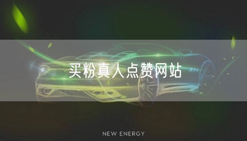 买粉真人点赞网站
