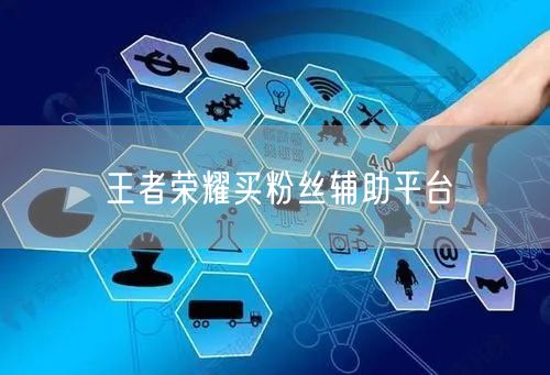 王者荣耀买粉丝辅助平台