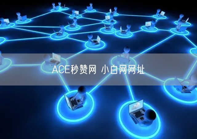 ACE秒赞网 小白网网址